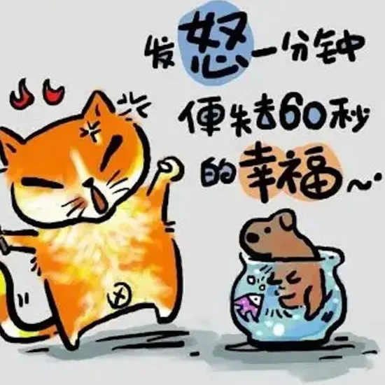 倾城之恋